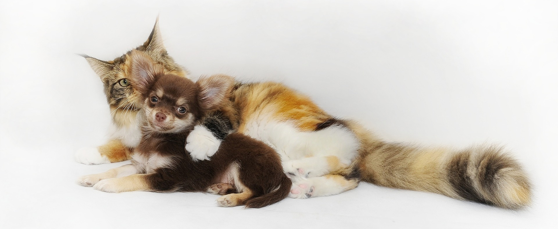 Lantana Gardens Apartments 